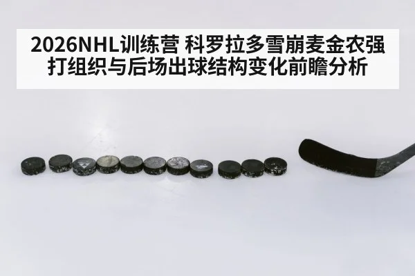 ice hockey defenseman puck